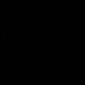 Meet your Posher, Genesis